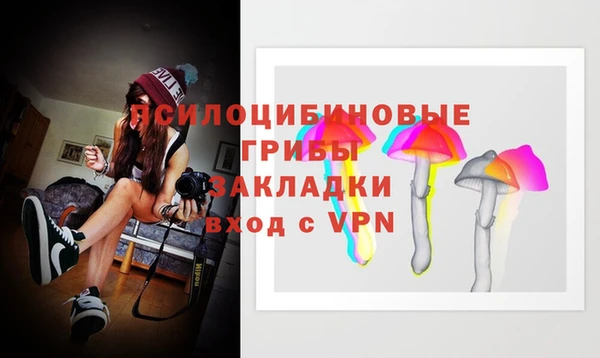 тгк Новозыбков