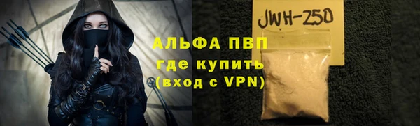 хмурый Няндома
