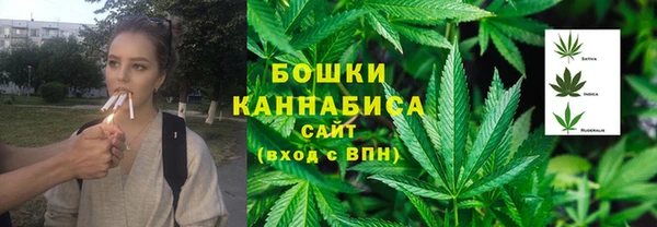 хмурый Няндома