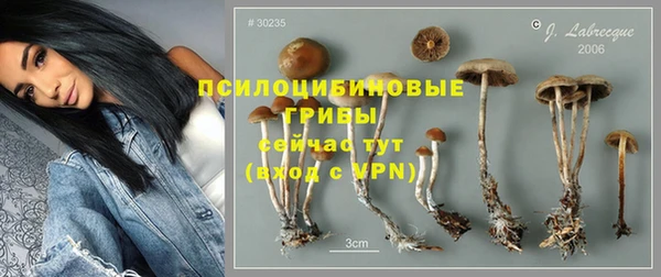 ALPHA PVP Новодвинск
