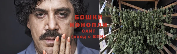 тгк Новозыбков