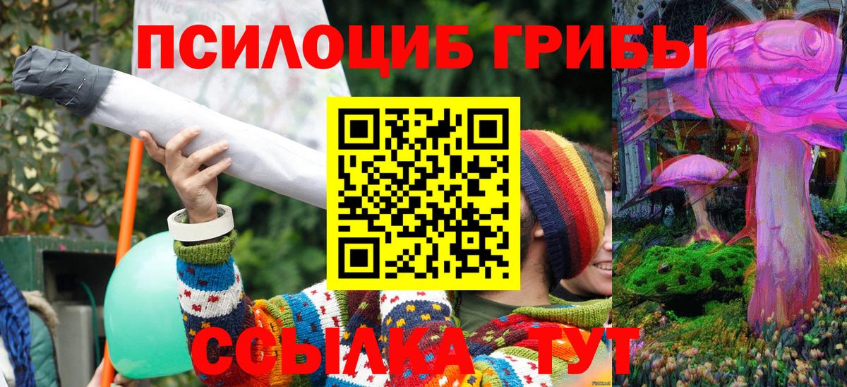 Псилоцибиновые грибы Cubensis  Псилоцибиновые грибы мухоморы  Мыски 