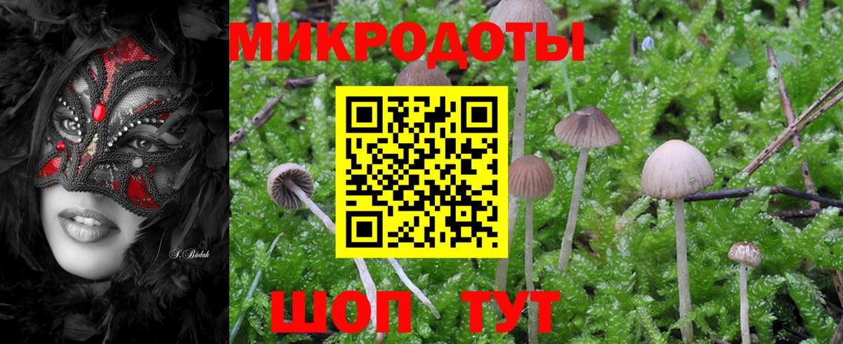 Галлюциногенные грибы Magic Shrooms Мыски